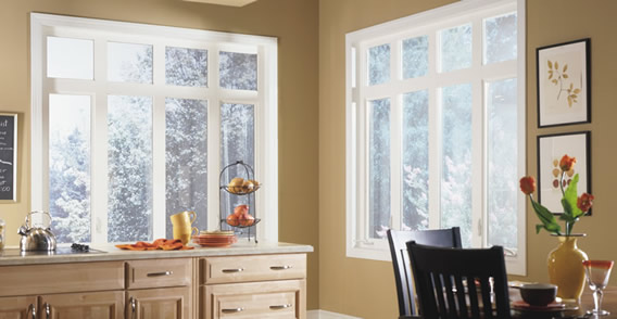 Casement / Awning Windows